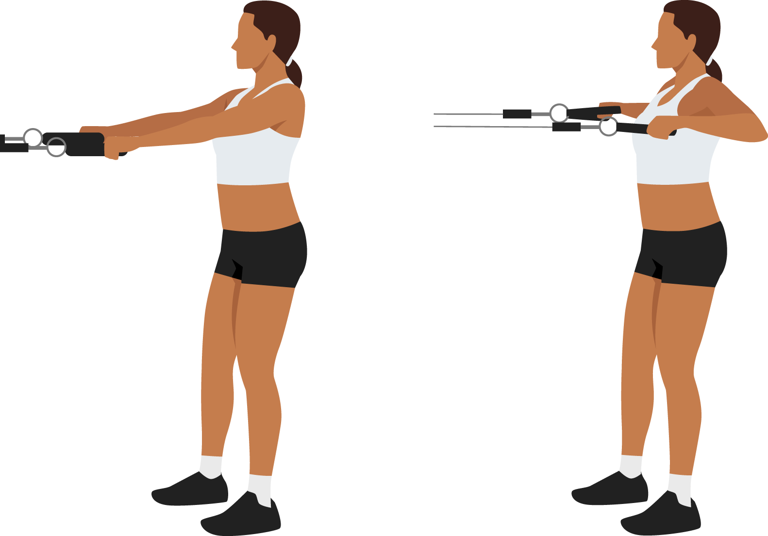 rows guide